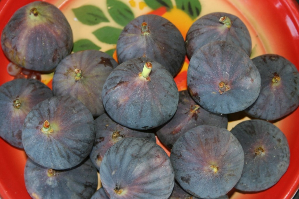 Fresh figs